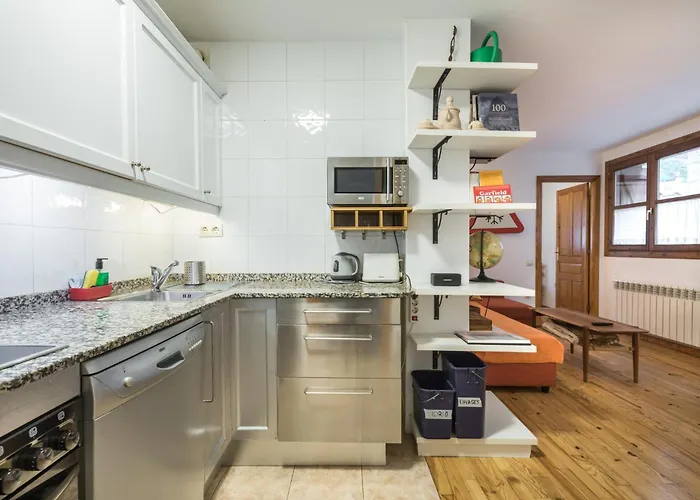 Apartamento La Benasquita